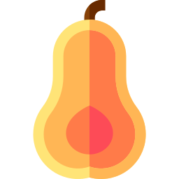 Butternut squash icon