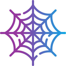 Spider web icon