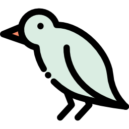 oiseau Icône