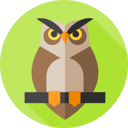 Owl icon