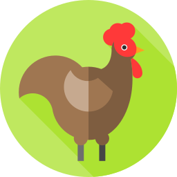 Rooster icon