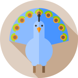 Peacock icon