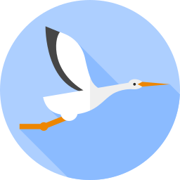 storch icon