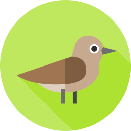 Nightingale icon