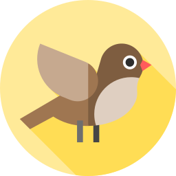 oiseau Icône