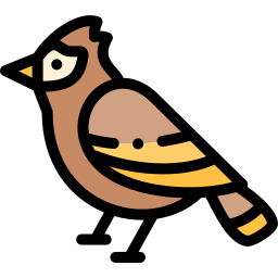 vogel icon