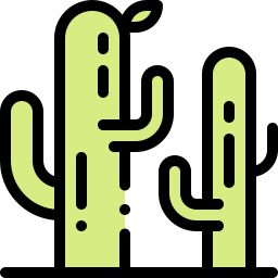 Cactus icon