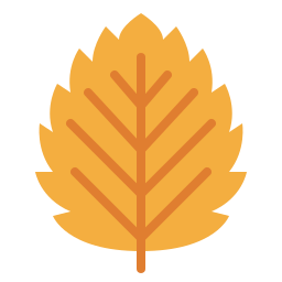 Leaf icon