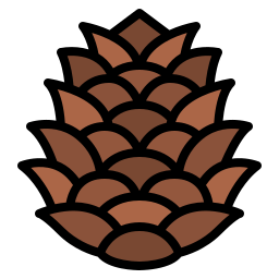 Pine cone icon