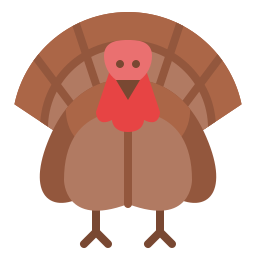 Turkey icon