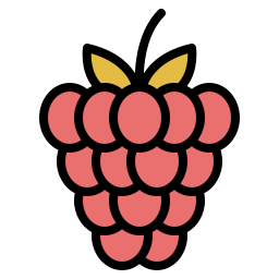 framboise Icône