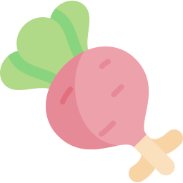 Radish icon