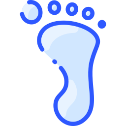 Footprint icon