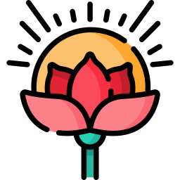 ハスの花 icon