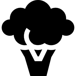 Broccoli icon