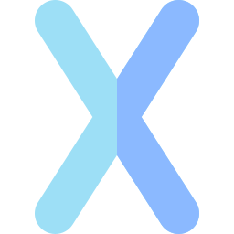 X icon