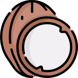 Coconut icon