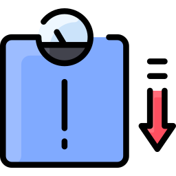 Scale icon