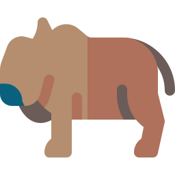 bison icon