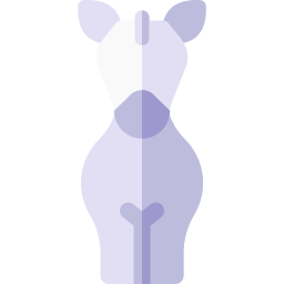 pferd icon