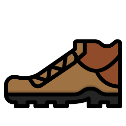 Shoe icon