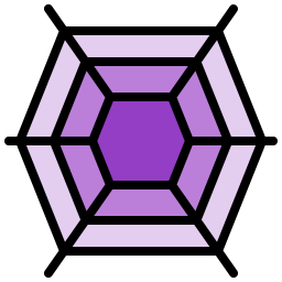 Spider web icon