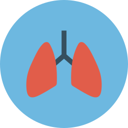 Lungs icon