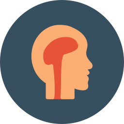 Brain icon