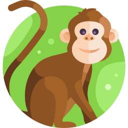 Monkey icon