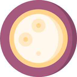 Full moon icon