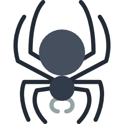 Spider icon