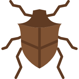 Beetle icon