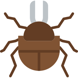 Beetle icon