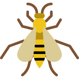 Wasp icon