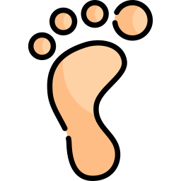 Footprint icon