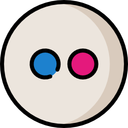 flickr icon