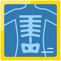 X rays icon