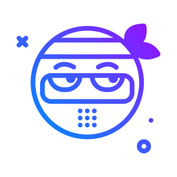 ninja icon