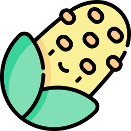 Corn icon