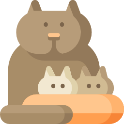 猫 icon