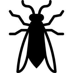 Wasp icon