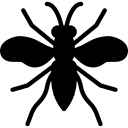 Wasp icon