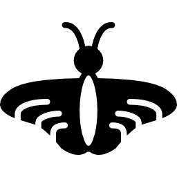 Butterfly icon