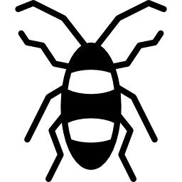 Cockroach icon