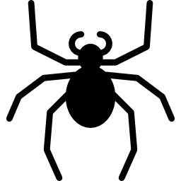 Spider icon