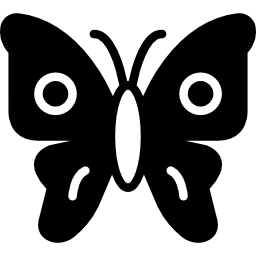 Butterfly icon