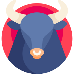 stier icon