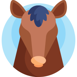 pferd icon