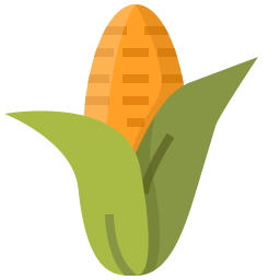 Corn icon