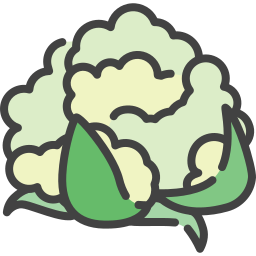 blumenkohl icon